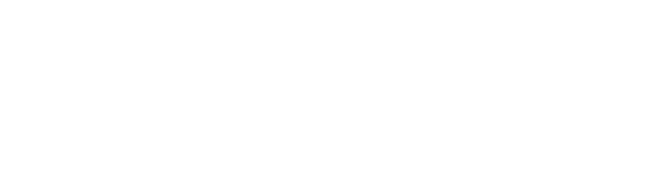 盛龙科技 LOGO